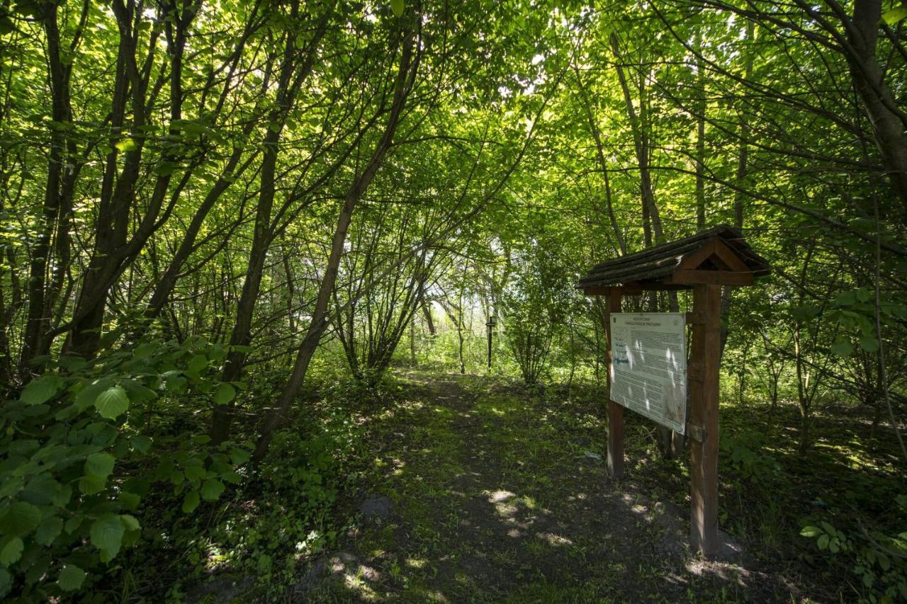 Toereki 34 Vendeghaz Apartmán Siofok